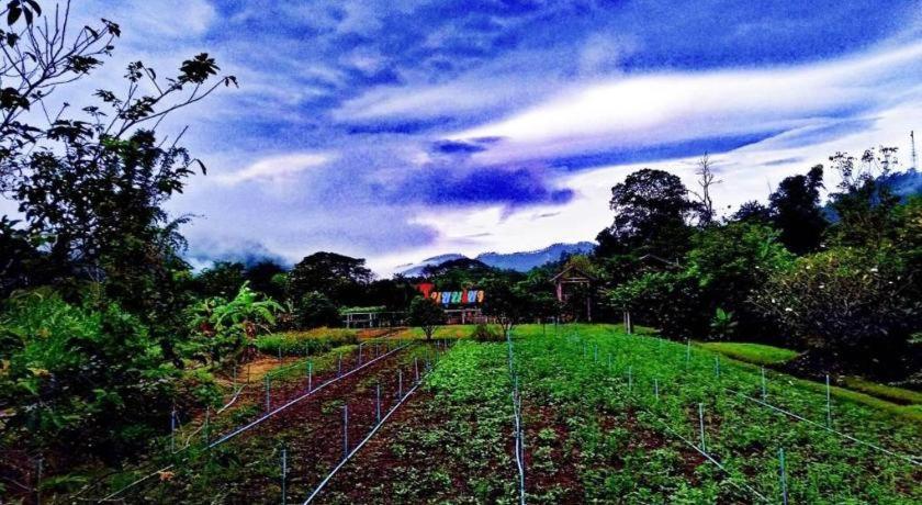 Nai Khun Khao Resort Chiang Mai Eksteriør bilde