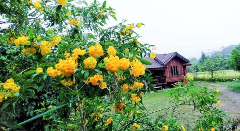 Nai Khun Khao Resort Chiang Mai Eksteriør bilde